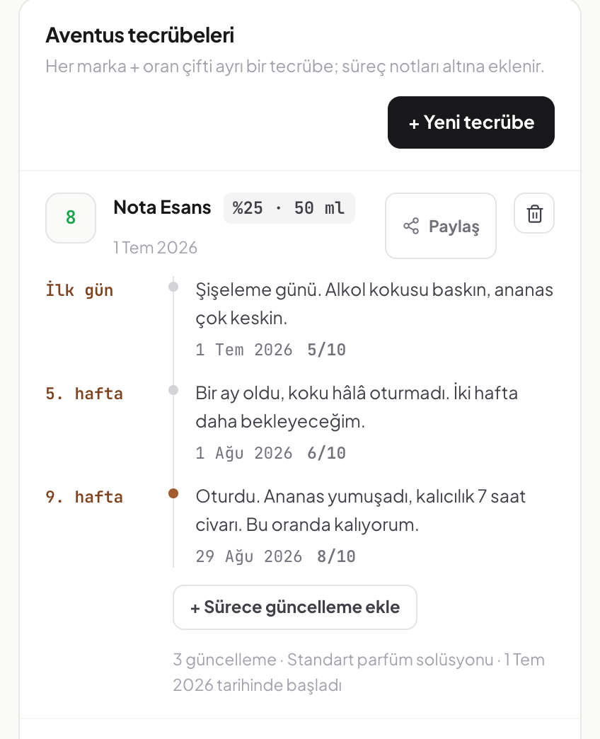 Aventus tecrübesinin süreç notları